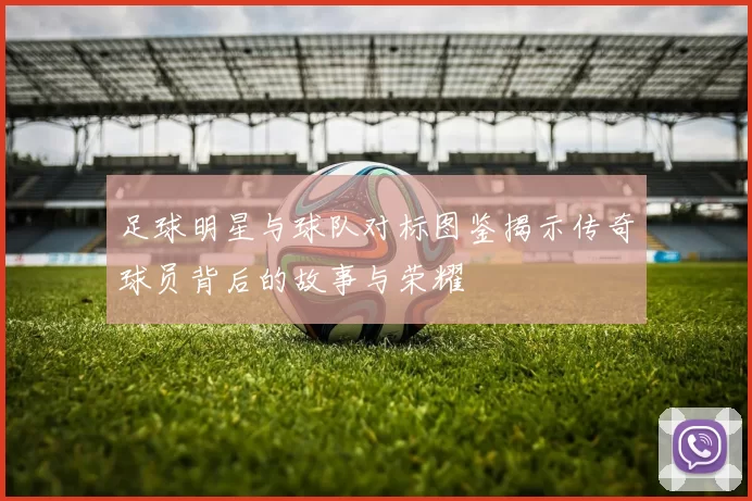 足球明星与球队对标图鉴揭示传奇球员背后的故事与荣耀