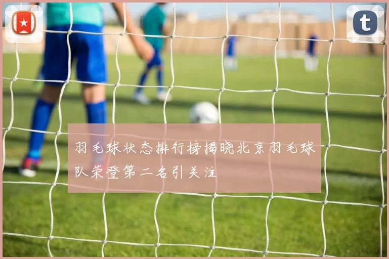 羽毛球状态排行榜揭晓北京羽毛球队荣登第二名引关注