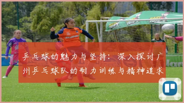 乒乓球的魅力与坚持：深入探讨广州乒乓球队的耐力训练与精神追求