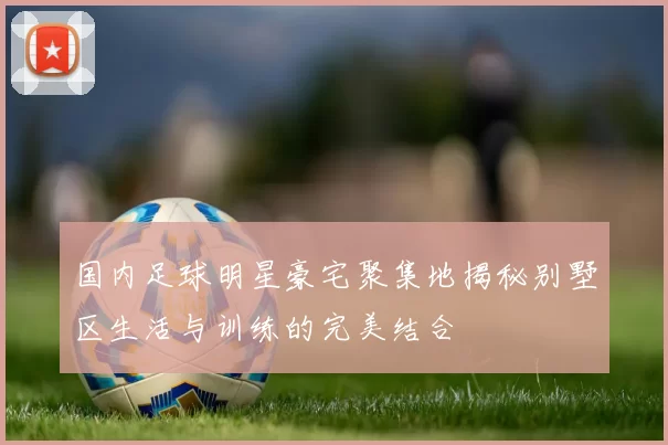 国内足球明星豪宅聚集地揭秘别墅区生活与训练的完美结合