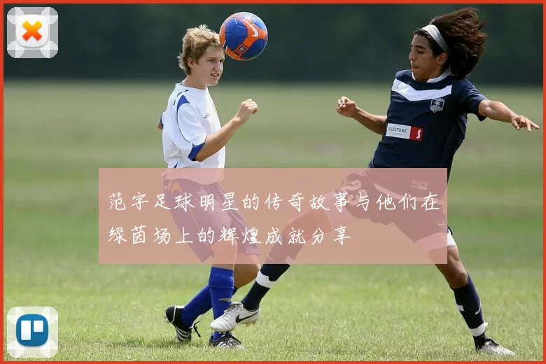 范字足球明星的传奇故事与他们在绿茵场上的辉煌成就分享