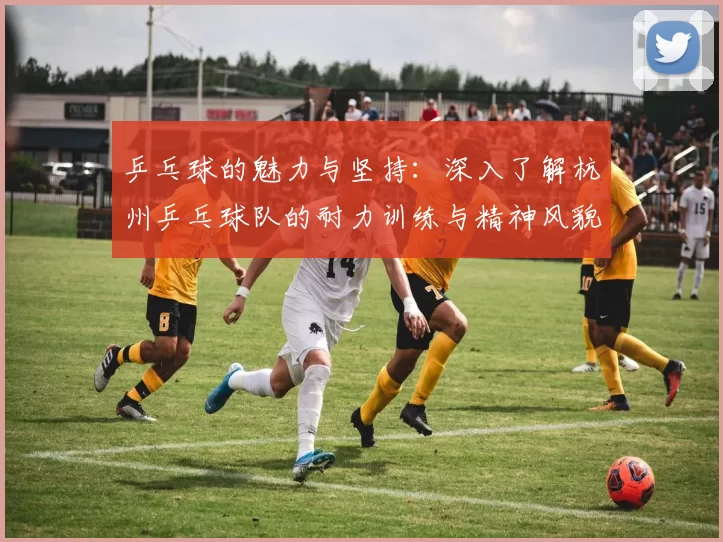 乒乓球的魅力与坚持：深入了解杭州乒乓球队的耐力训练与精神风貌