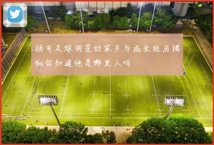 杨可足球明星的家乡与成长经历揭秘你知道他是哪里人吗