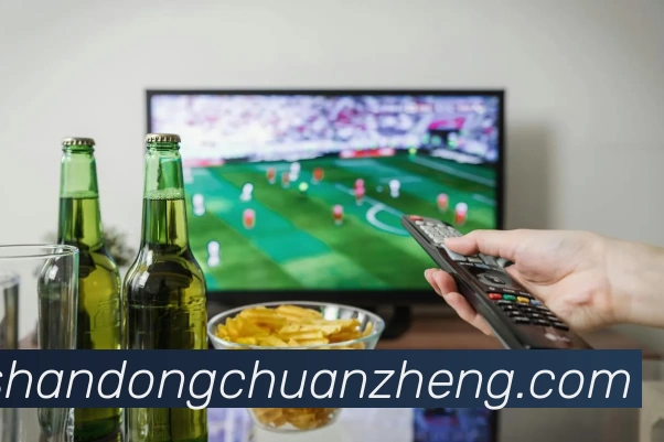 开云官网入口全站App
